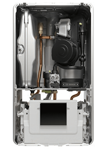 BOSCH Gasbrennwertkombitherme Condens GC7800iW 20/24 C 23 Querschnitt
