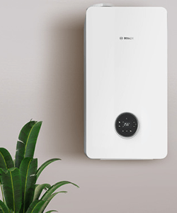 Bosch Condens 5300 iW mit einer Pflanze